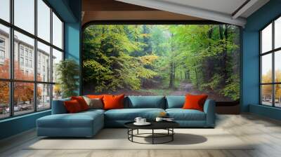 Green forest in spring, view from camper window Wall mural