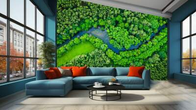 River and green forest in Tuchola natural park, aerial view Wall mural