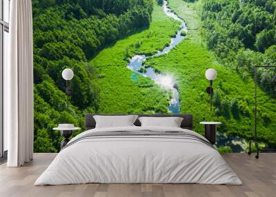 Small winding river and green swamps, aerial view Wall mural