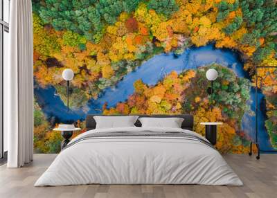 Stunning view of colorful autumn forest and blue river, Poland Wall mural