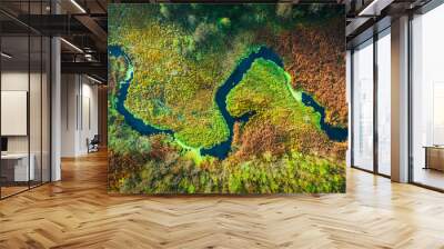 Top down view of river and swamps in autumn, Poland Wall mural