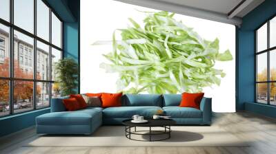 Green cabbage Wall mural