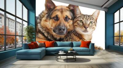 Cat and dog together isolated on a transparent background Wall mural