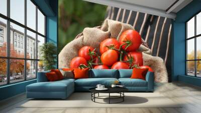 Farmer with organic tomatoes Wall mural