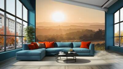 Bright sun over rolling hills in Newberg, Oregon Wall mural