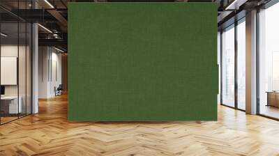 green textile texture background. useful for design. Wall mural