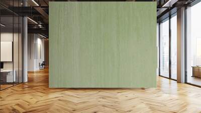 green textured background for graphic design Wall mural