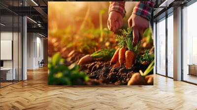  a close up of a person picking carrots from a patch of dirt in a garden with other carrots in the foreground and a person holding a carrot in the foreground. Wall mural