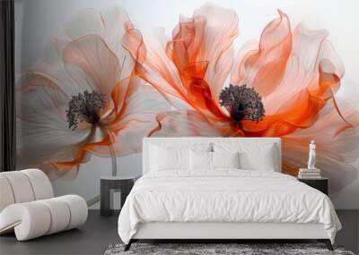  a close up of two orange flowers on a white background with a blurry effect to the center of the flowers. Wall mural