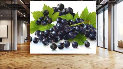   Black grapes on white background with green leaves and reflective surface Wall mural