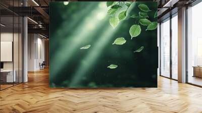   Sunlight filtering through a leafy tree on a dark green backdrop Wall mural