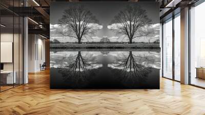   Two trees in a reflection in water, with a cloudy sky background Wall mural