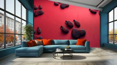 a group of rocks sitting on top of a red surface next to a black cat paw on a red surface. Wall mural