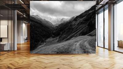 Crossing the alps to germany Wall mural