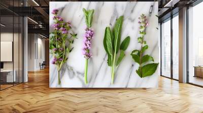 Rosemary, mint, lavender, sage and thyme collection,Creative banner with fresh herbs bunch on white background Wall mural