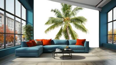 palm tree isolated on white transparent png Wall mural