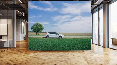 white car in the green field Wall mural