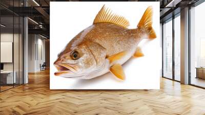 Haddock Isolated Wall mural