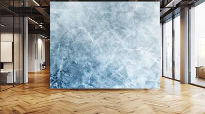 hockey ice texture Wall mural