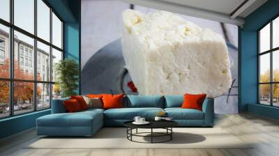 Traditional indian cheese panneer prepared form fresh milk on plate Wall mural