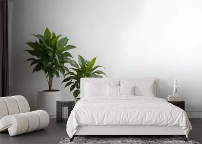 Two potted plants with green leaves on a white wall background. Wall mural