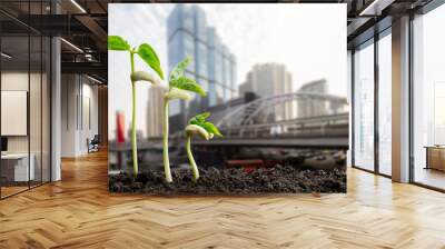 Green sprouts on blurred city background, environmental concept Wall mural