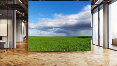 green field and blue cloudy sky Wall mural