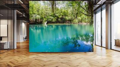 Berry Springs, a fresh water spring in the Northern Territory. Wall mural