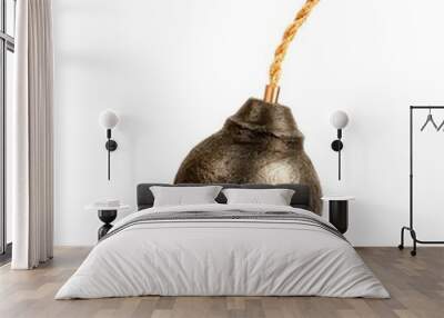 classic round black antique bomb with a non-burning rope wick isolated on a white background Wall mural