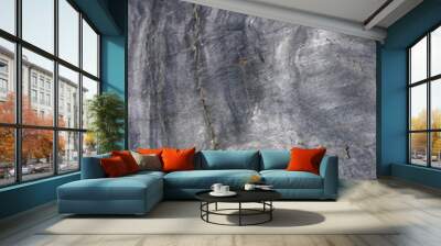 grey granite rock on beach Wall mural