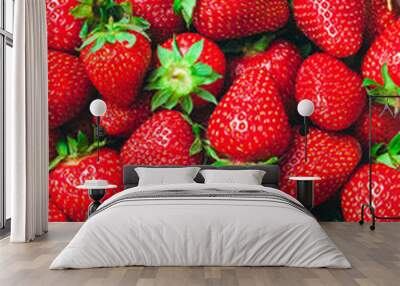 a lot of ripe juicy shiny red strawberries - food background Wall mural