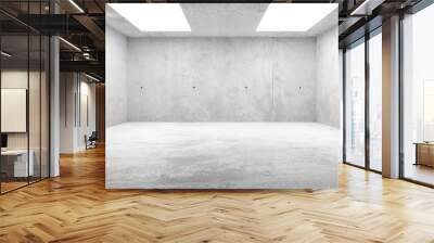 Abstract empty, modern concrete room with ceiling lights and rough floor - industrial interior background template, 3D illustration Wall mural