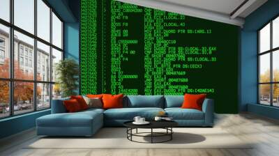 Assembler source code Wall mural