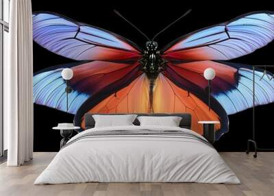 a beautifull butter fly with top shot Wall mural