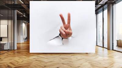 Hand victory sign. Gesture isolated on white background. Sign of gestures. It is ok concept. Copy space. Wall mural