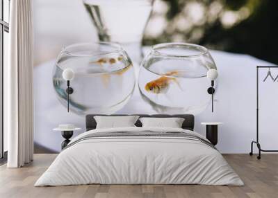 Small two goldfish swim in large glass jugs filled with water, standing on a round table with a white tablecloth. Wall mural