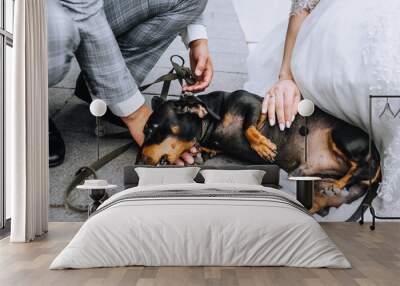 The bride and groom on a walk in the park are sitting with a beautiful favorite dog dachshund. Wedding photography, animal portrait. Wall mural