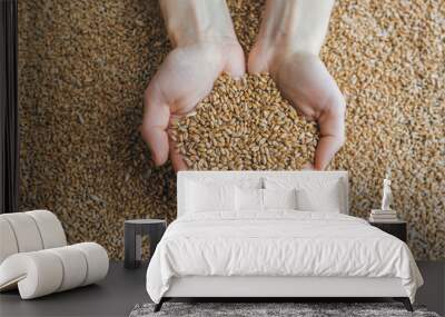 Two women's hands hold many grains of wheat in a handful of palms. The concept of export and import of agricultural products from Ukraine to Europe through Poland. Wall mural