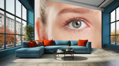 woman's eye Wall mural