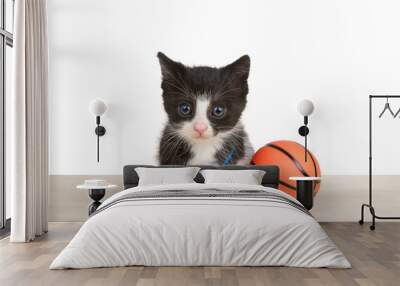 Adorable black and white tuxedo kitten wearing a blue sports whistle sitting on a wood floor next to tiny sized basketball, isolated on white. Animal antics fun sports theme. Wall mural