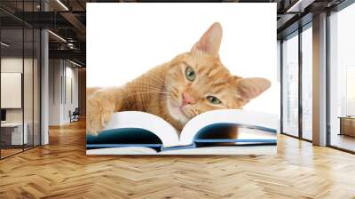 close up of one orange ginger tabby cat laying on a large book with one paw over the edge holding the pages, looking directly at viewer. Face on book. Wall mural