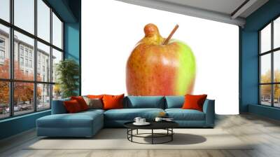 freshly picked apple with malformation growth. Food shops mostly prefer the best quality fruit and vegetables, or slightly lower-quality goods sold for a bit less. Ugly fruit is not in high demand. Wall mural