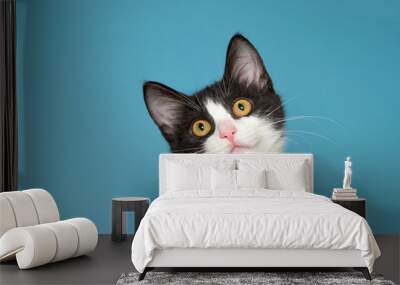 Portrait of a white and black kitten with yellow eyes looking intently at viewer. Blue background. Wall mural