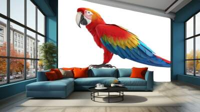 Cute Macaw Parrot Character Isolated on Png Background Wall mural