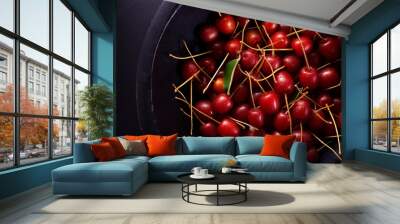 organic goumi berry in black background Wall mural