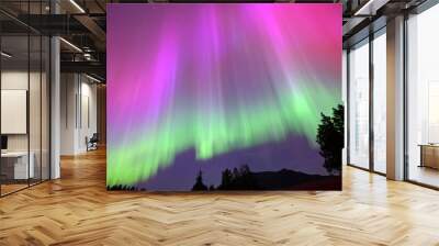 Beautiful northern lights Wall mural