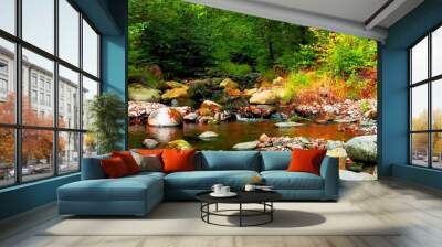 A beautiful river with colored stones in a wild forest Wall mural