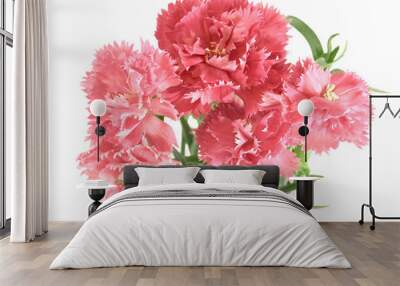 flower posy of carnations Wall mural