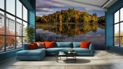 Chittenden Pond - Island with Autumn / Fall Tree Colors and Reflection - Vermont Wall mural