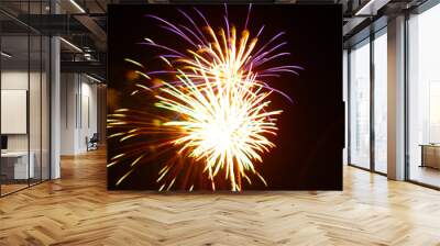 fireworks celebration Wall mural